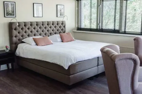 Witte Berken Natuurhotel foto 8