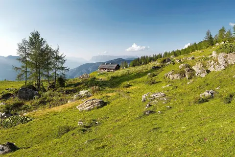 Vakantiepark Alpenchalets Flachauer Gutshof foto 31