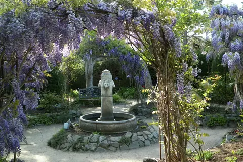Cambria Pines Lodge in Cambria — foto 19