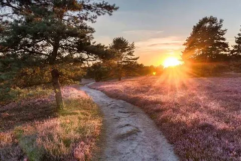 1851 Bar & Hotel foto 14