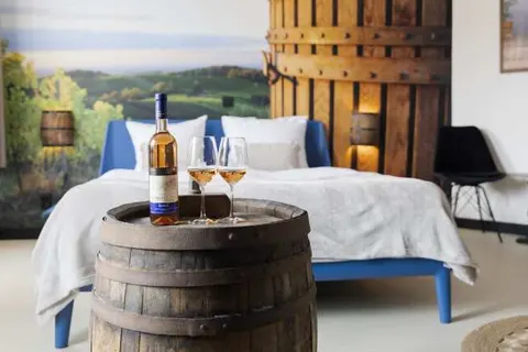 Dormio Wijnhotel Valkenburg foto 16