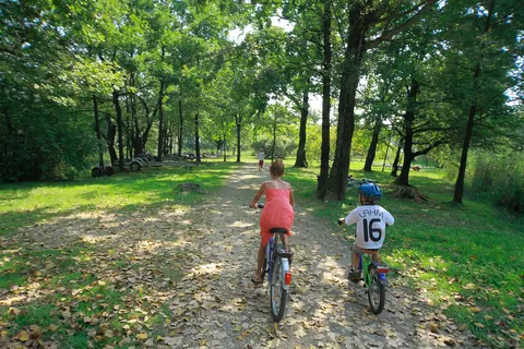 Camping Orchidea foto 13