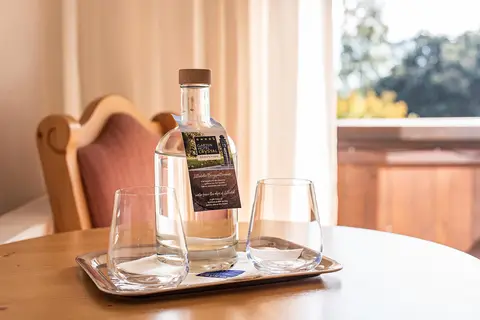 Hotel Crystal in Fügen — foto 5