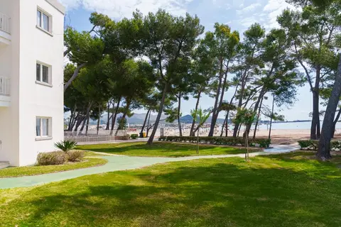 Lime Playa de Alcudia in Alcúdia — foto 8