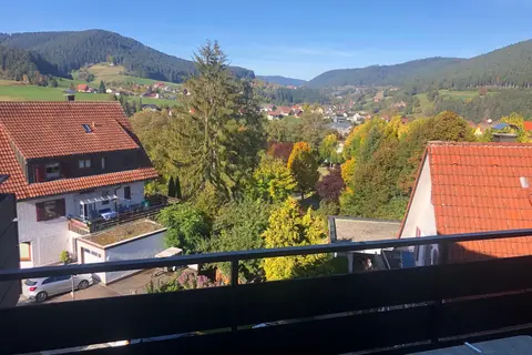 Hotel-Gasthof Rappen in Baiersbronn — foto 35