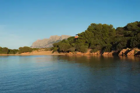 Ollastu in Terranoa/Olbia — foto 2