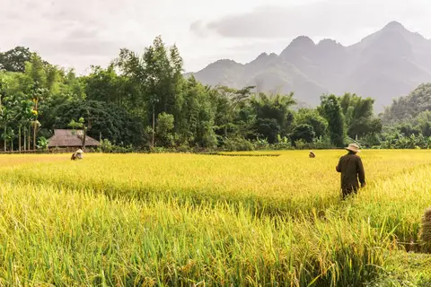 Authentiek Noord-Vietnam in Vietnam — foto 2
