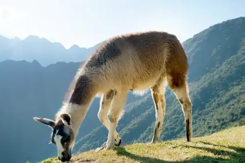 Explore Tropical Yucatán foto 28