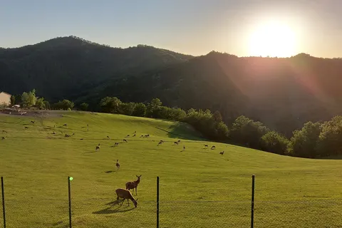 Vakantiepark I Cancelli foto 12