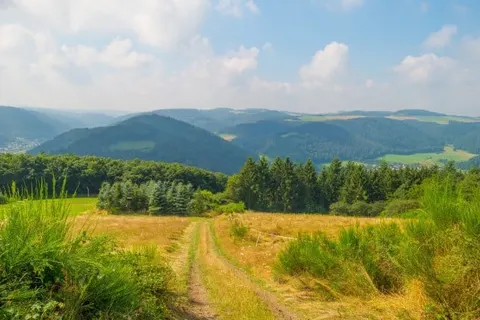 Landgasthof Wüllner foto 22