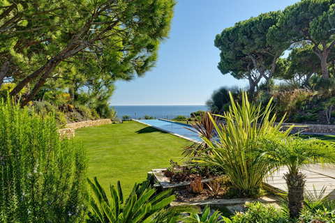 Aparthotel Alfagar Prestige foto 2