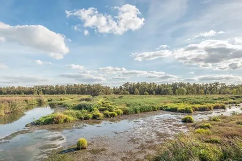 Hotel &ampapos;t Trefpunt foto 11