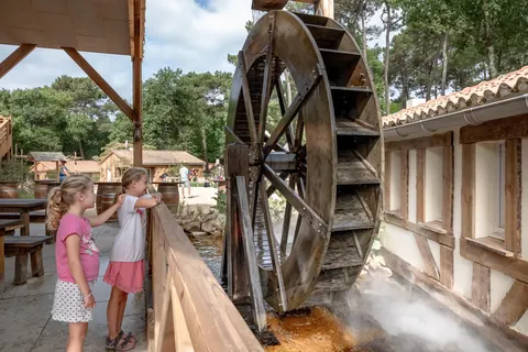 Flower Camping Au Bois Des Biches foto 22