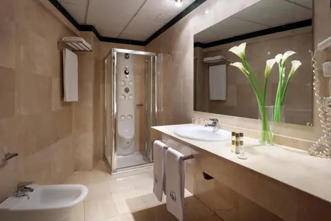 Eurostars Plaza Acueducto in Segovia — foto 12