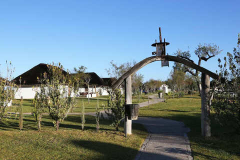 Ardea Purpurea Lodge foto 6