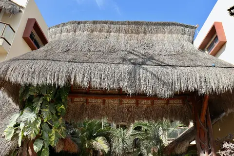 Macondo Raíz Holbox in Holbox, foto 12