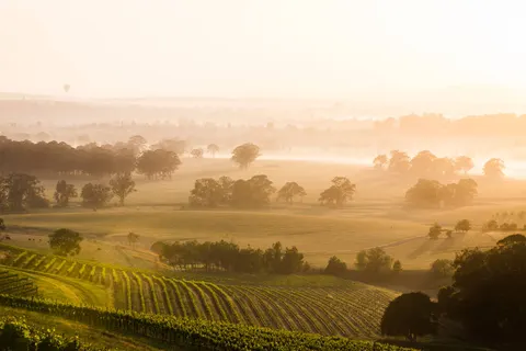 The Ultimate East Coast Experience in Sydney — foto 3