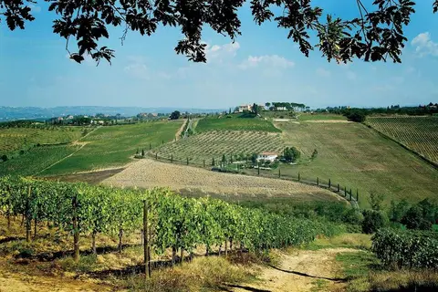 Agriturismo Poderi Arcangelo in San Gimignano — foto 3