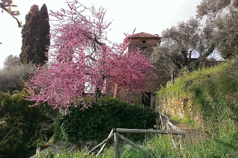 Agriturismo Il Vecchio Casale in Perdifumo — foto 2