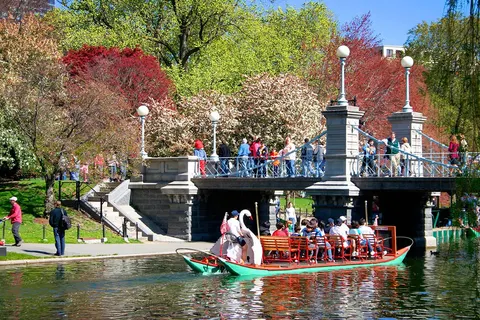 Eastern Discovery foto 5