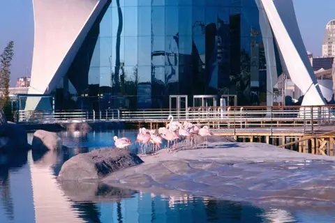 Ibis Alfafar in Alfafar