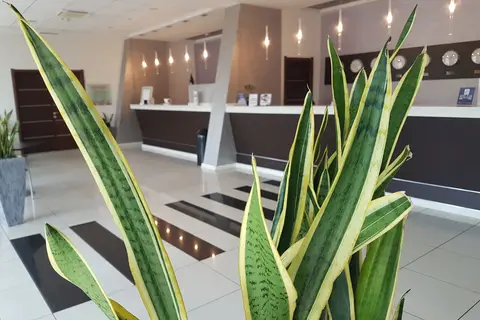 Best Western Hotel Class in Lamezia Terme, foto 5