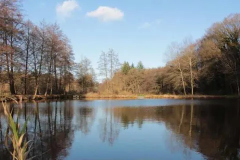 Hotel Gut Altona foto 23