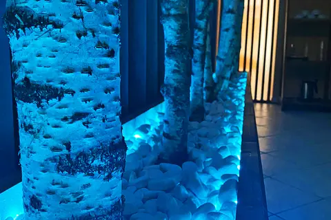 Donna Silvia Wellness Hotel in Sienna — foto 28