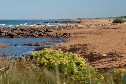 Vakantiepark Les Jardins De L Amirauté in Les Sables-d'Olonne — foto 10