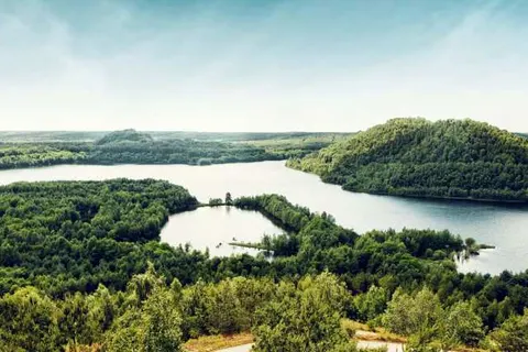 Fietsvakantie Antwerpse en Limburgse Kempen foto 4