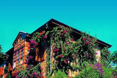 Begonville Pansiyon in Manavgat — foto 29
