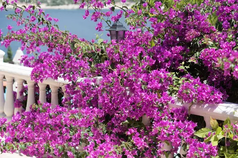 Club Barbarossa Hotel & Villas in Kas, foto 25