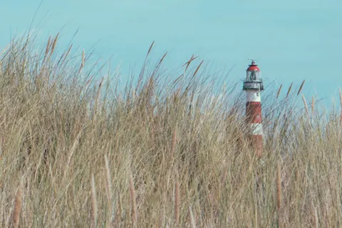 Camping Little Canvas Escape foto 4