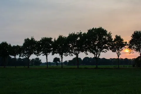 Bed and Breakfast Erve de Bosch foto 17