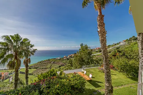 Casa do Papagaio Verde in Funchal — foto 10