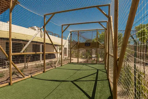 Hotel Magic Natura in Benidorm — foto 21