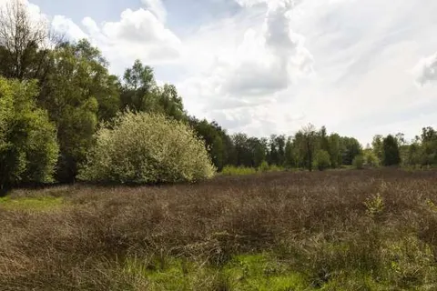 Fietsvakantie De Groote Peel foto 6