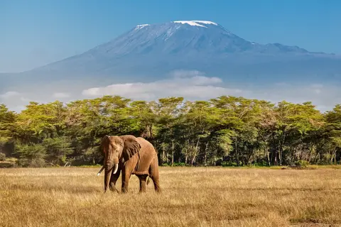 Tanzania Compleet in Tanzania — foto 6