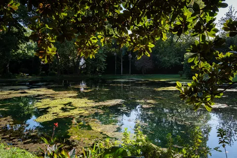 Cantos Green Garden in Povoação — foto 2