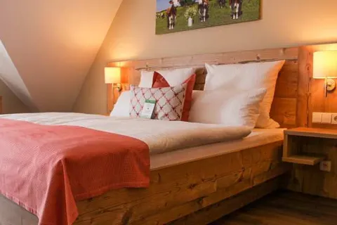 Hotel Restaurant zum Reussenstein foto 7