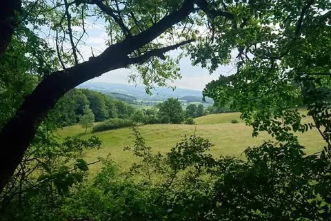 Hotel zur Burg Sternberg foto 26