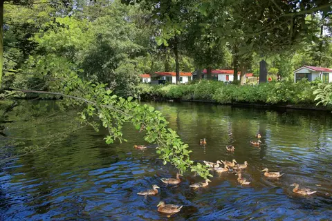 Camping Duinrell in Wassenaar — foto 13