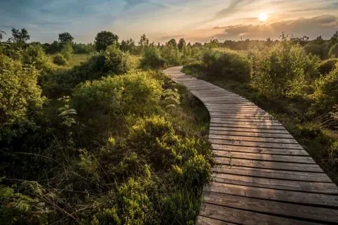 Country Camp Echternacherbruck foto 15