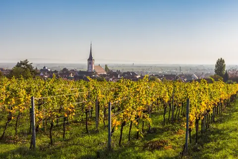 Ontdek de Duitse Wijnroute vanuit Bad Dürkheim in Bad Dürkheim