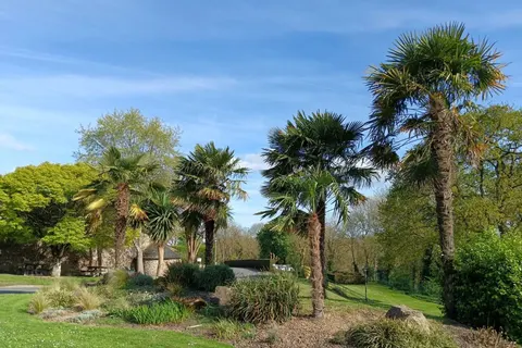 Camping La Hallerais foto 24