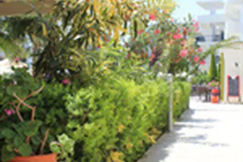 Sea Melody Beach Hotel in Ιαλυσός — foto 16