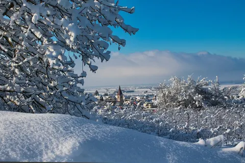 Kerst in het Zwarte Woud, Endingen foto 19