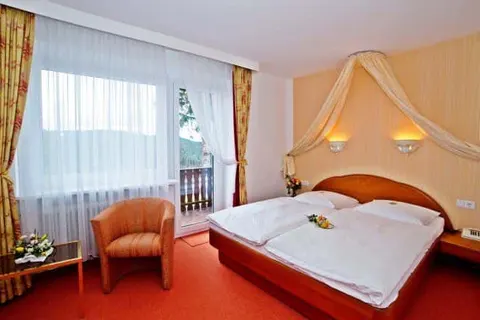 Hotel Diana Feldberg foto 5