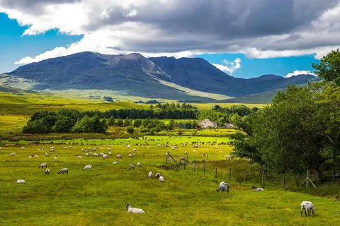 Ontdek Ierland in 11 dagen foto 17