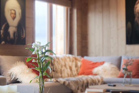 Chalet Odalys Le Lys foto 2